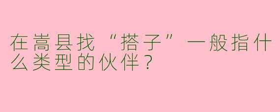 在嵩县找“搭子”一般指什么类型的伙伴？