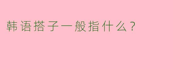 韩语搭子一般指什么？