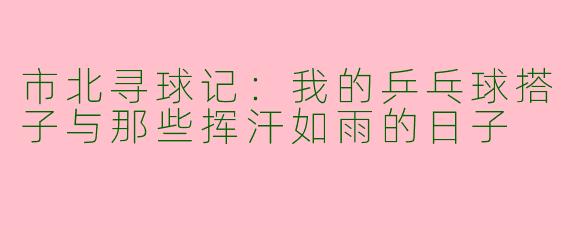 市北寻球记:我的乒乓球搭子与那些挥汗如雨的日子