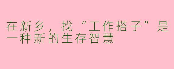 在新乡,找“工作搭子”是一种新的生存智慧