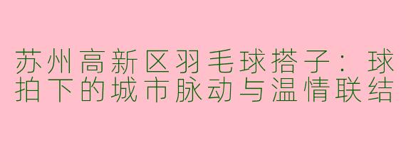 苏州高新区羽毛球搭子:球拍下的城市脉动与温情联结