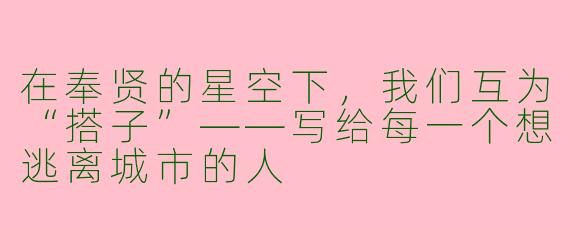在奉贤的星空下，我们互为“搭子”——写给每一个想逃离城市的人