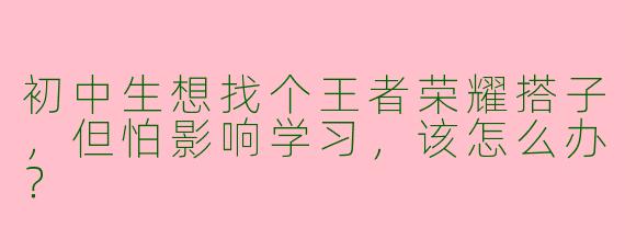 初中生想找个王者荣耀搭子，但怕影响学习，该怎么办？