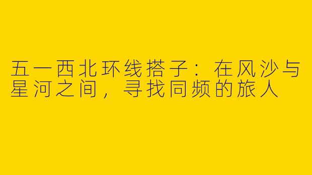 五一西北环线搭子:在风沙与星河之间,寻找同频的旅人