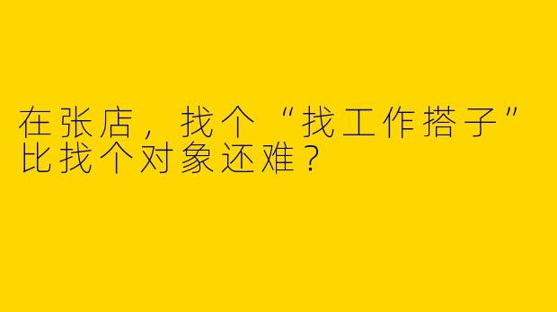 在张店,找个“找工作搭子”比找个对象还难?