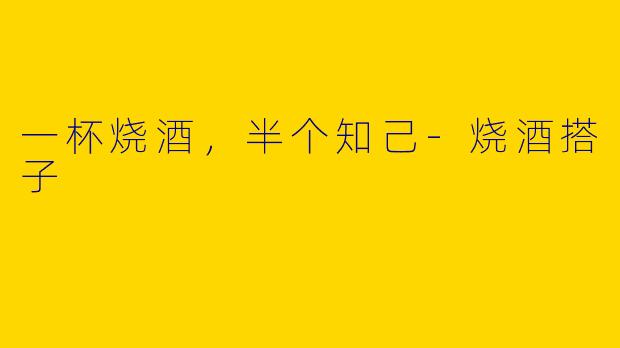 一杯烧酒,半个知己-烧酒搭子