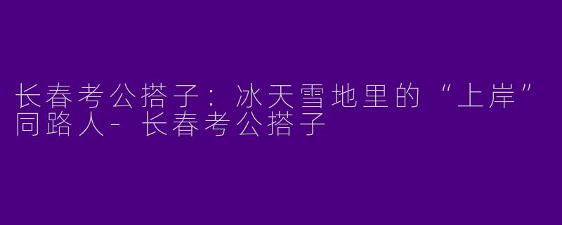 长春考公搭子：冰天雪地里的“上岸”同路人-长春考公搭子