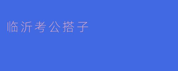 临沂考公搭子