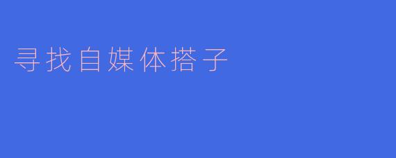 寻找自媒体搭子