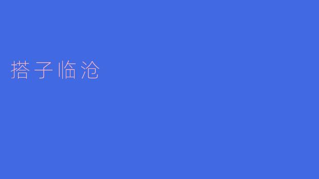 搭子临沧