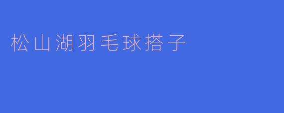 松山湖羽毛球搭子
