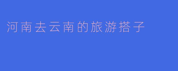 我计划从河南去云南旅游，想找个旅游搭子一起分摊费用和互相照应，你有什么建议吗？