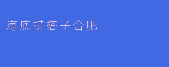 海底捞搭子合肥