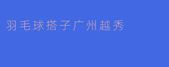 广州越秀区有哪些靠谱的途径能找到水平相当的羽毛球搭子？