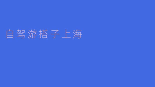 自驾游搭子上海