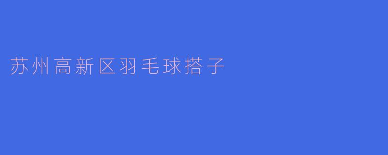 苏州高新区羽毛球搭子
