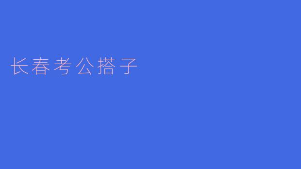 长春考公搭子