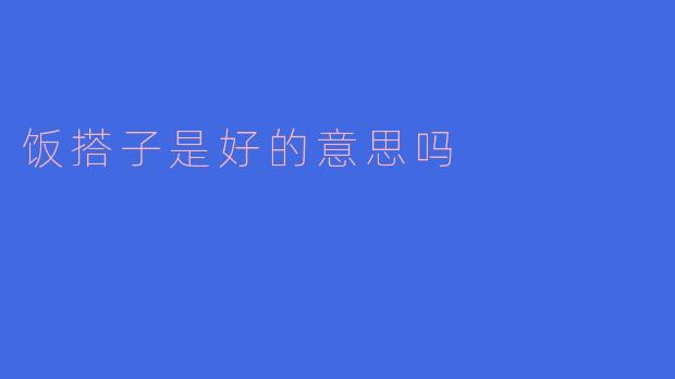 饭搭子是好的意思吗