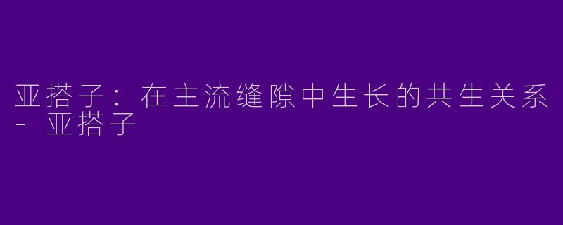亚搭子:在主流缝隙中生长的共生关系-亚搭子
