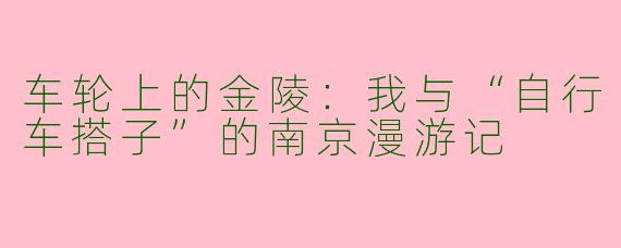 车轮上的金陵：我与“自行车搭子”的南京漫游记