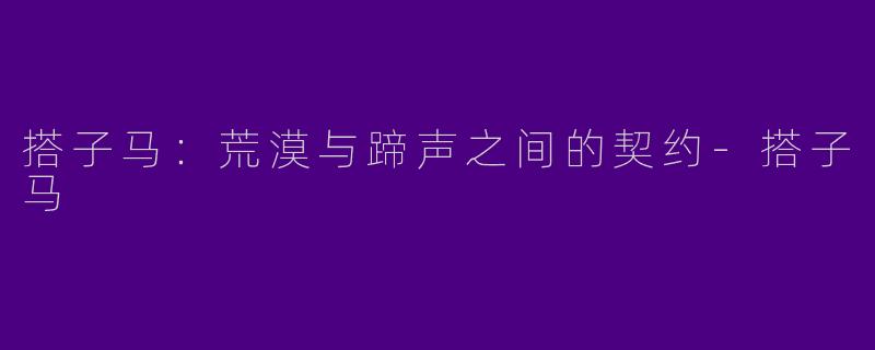 搭子马:荒漠与蹄声之间的契约-搭子马