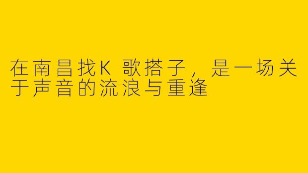 在南昌找K歌搭子，是一场关于声音的流浪与重逢