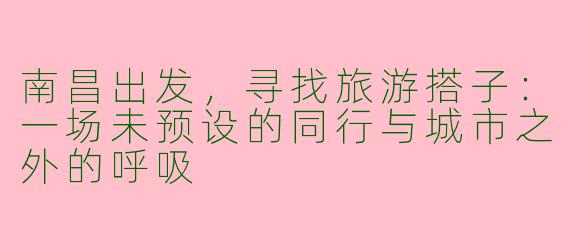 南昌出发,寻找旅游搭子:一场未预设的同行与城市之外的呼吸