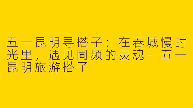 五一昆明寻搭子:在春城慢时光里,遇见同频的灵魂-五一昆明旅游搭子
