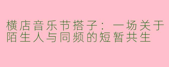 横店音乐节搭子:一场关于陌生人与同频的短暂共生