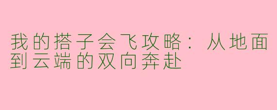 我的搭子会飞攻略：从地面到云端的双向奔赴