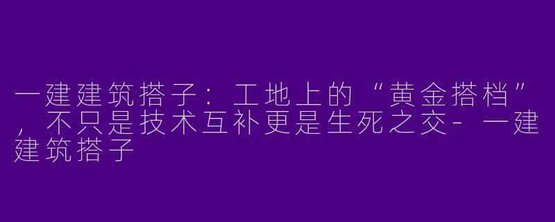 一建建筑搭子:工地上的“黄金搭档”,不只是技术互补更是生死之交-一建建筑搭子
