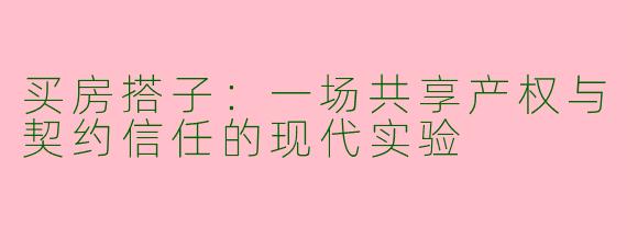 买房搭子：一场共享产权与契约信任的现代实验