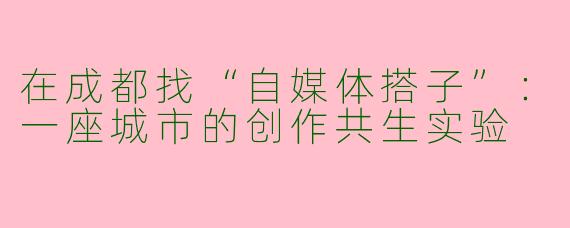 在成都找“自媒体搭子”:一座城市的创作共生实验
