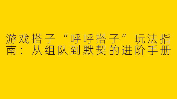 游戏搭子“呼呼搭子”玩法指南:从组队到默契的进阶手册