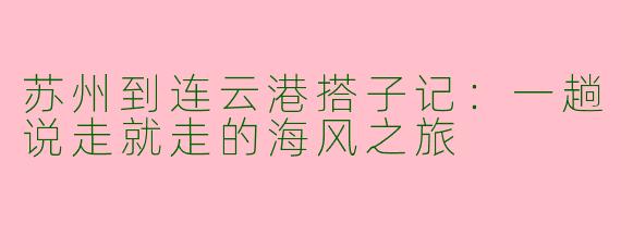 苏州到连云港搭子记:一趟说走就走的海风之旅