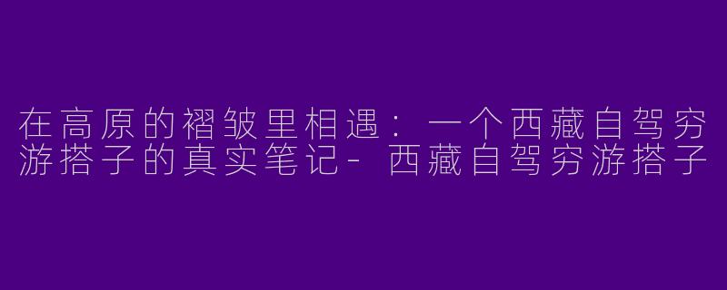 在高原的褶皱里相遇：一个西藏自驾穷游搭子的真实笔记
