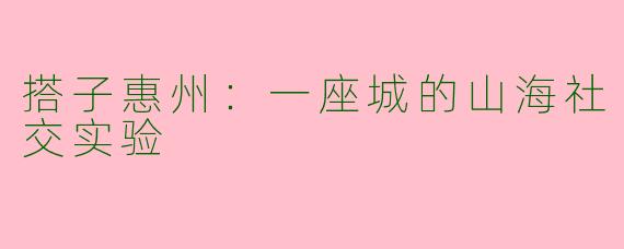 搭子惠州：一座城的山海社交实验