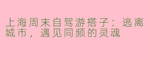 上海周末自驾游搭子:逃离城市,遇见同频的灵魂