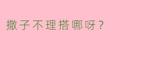 撒子不理搭哪呀？