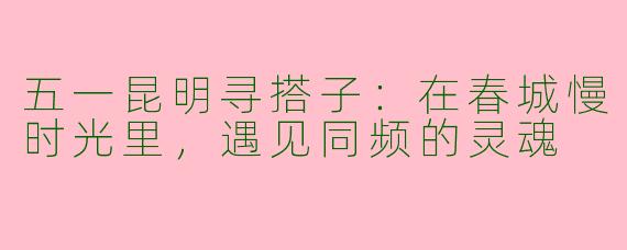 五一昆明寻搭子:在春城慢时光里,遇见同频的灵魂