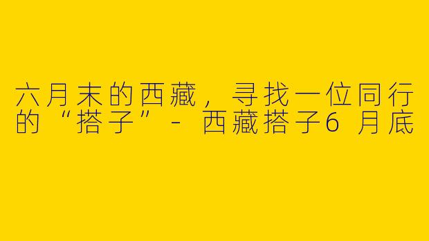 六月末的西藏,寻找一位同行的“搭子”-西藏搭子6月底