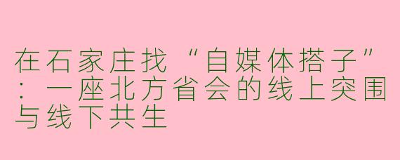 在石家庄找“自媒体搭子”:一座北方省会的线上突围与线下共生