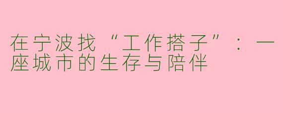 在宁波找“工作搭子”:一座城市的生存与陪伴
