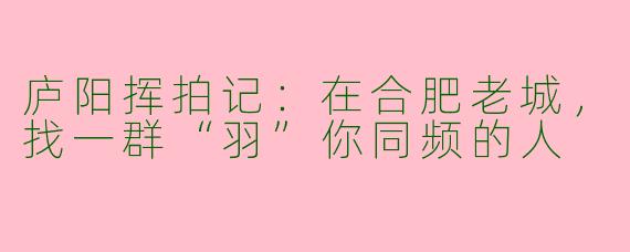 庐阳挥拍记:在合肥老城,找一群“羽”你同频的人