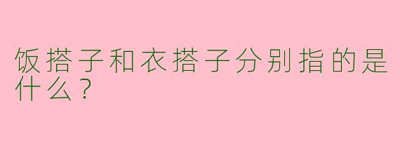 饭搭子和衣搭子分别指的是什么？