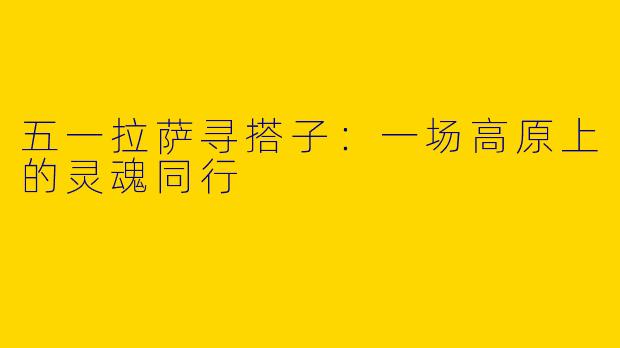 五一拉萨寻搭子:一场高原上的灵魂同行