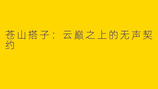苍山搭子:云巅之上的无声契约