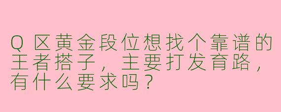Q区黄金段位想找个靠谱的王者搭子，主要打发育路，有什么要求吗？
