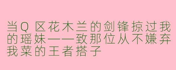 当Q区花木兰的剑锋掠过我的瑶妹——致那位从不嫌弃我菜的王者搭子