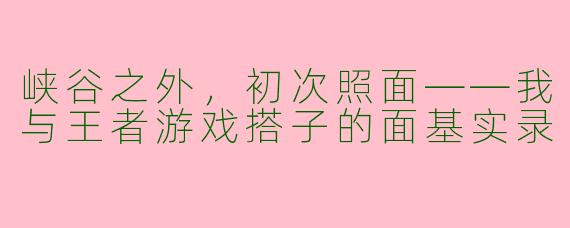峡谷之外,初次照面——我与王者游戏搭子的面基实录